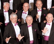 COL Crop Stan digital